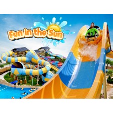 FUN IN THE SUN 